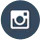Instagram Icon